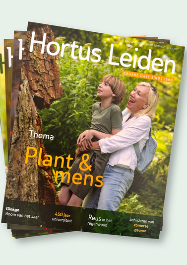 hortus
